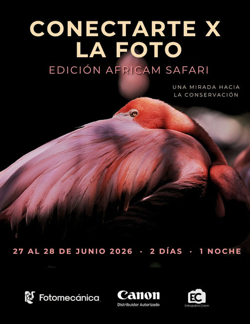 CONECTARTE X LA FOTO